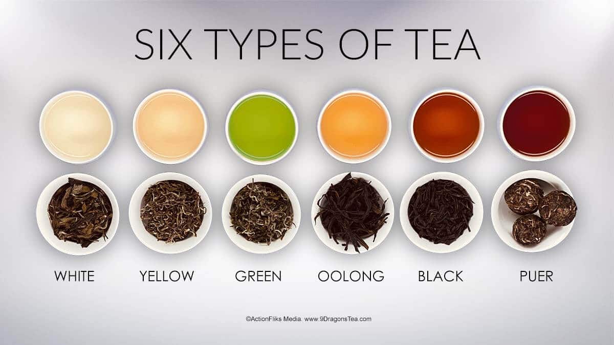 ActionFliks 9 Dragons Tea 6 Major Types of Tea web