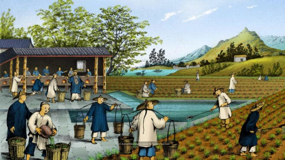 featured image historical painting traditional chinese tea making tea trade tea cultivation