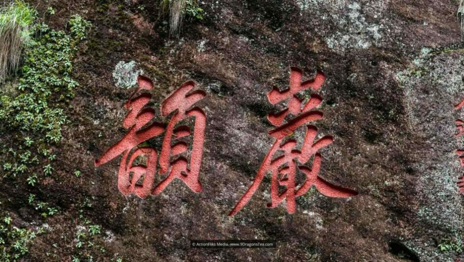 wuyishan landscape rock terroir yen yun close up