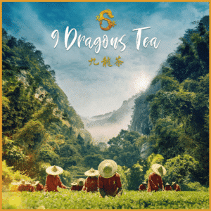 9 dragons tea - tea field poster - feature image