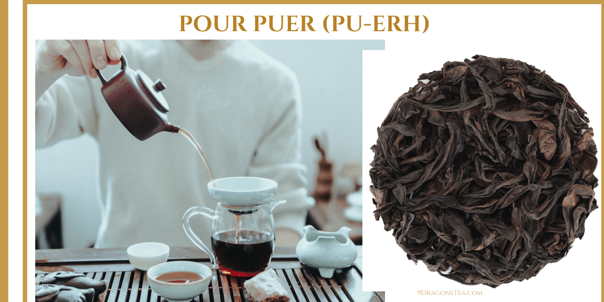 how to steep pu erh tea-pu erh tea cake - pouring pu erh tea-9 dragons tea
