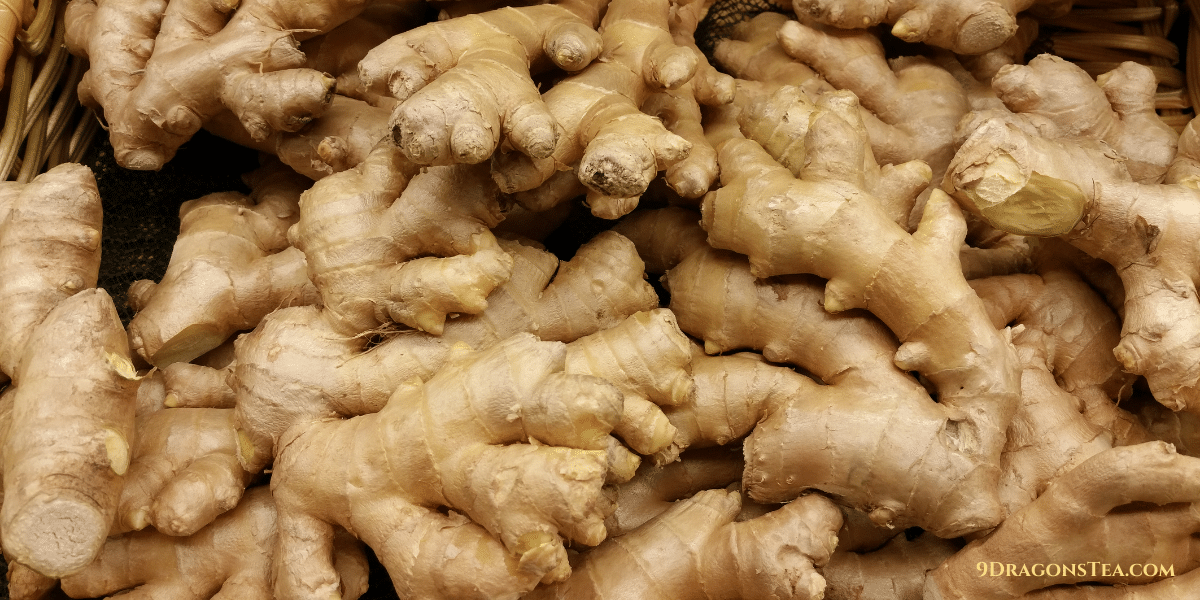 Ginger root rhizome