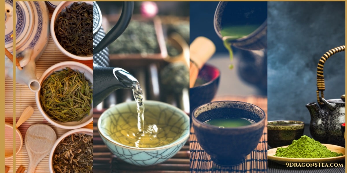 chinese green tea-japanese green tea-matcha green tea