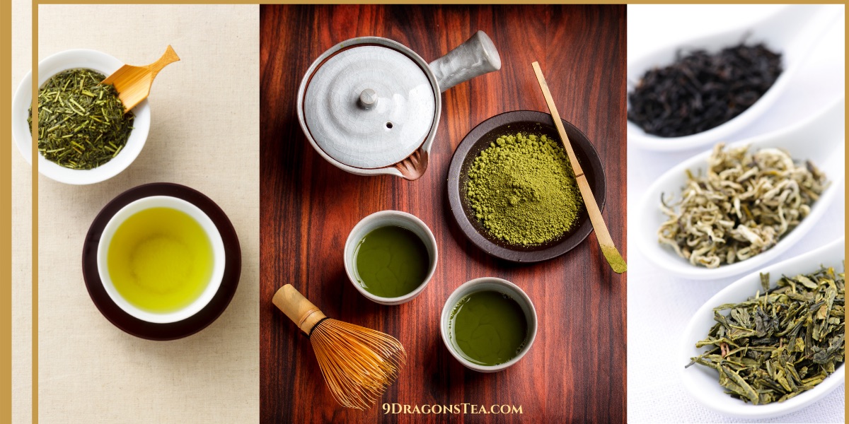 matcha green tea-japanese green tea-sencha