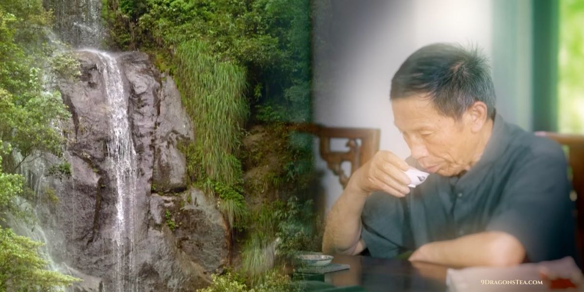 waterfall-tea orgin-tea master tasting tea