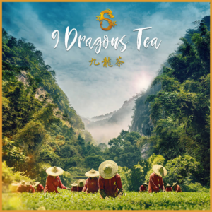 Signed Mini Tea Poster-location-wuyi shan-wuyi mountains-fujian-china-9 dragons tea movie-mini poster