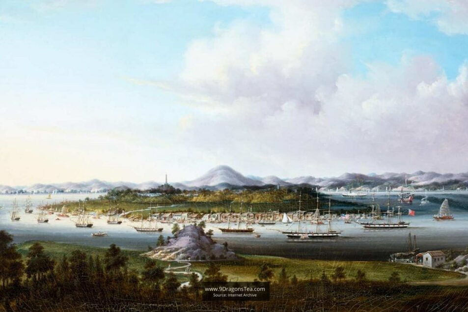 Chinese tea history historical painting tea trade canton guangzhou harbor c1850 by sunqua