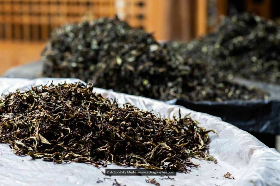 traditional chinese tea making Loose Tea Leaves in Piles