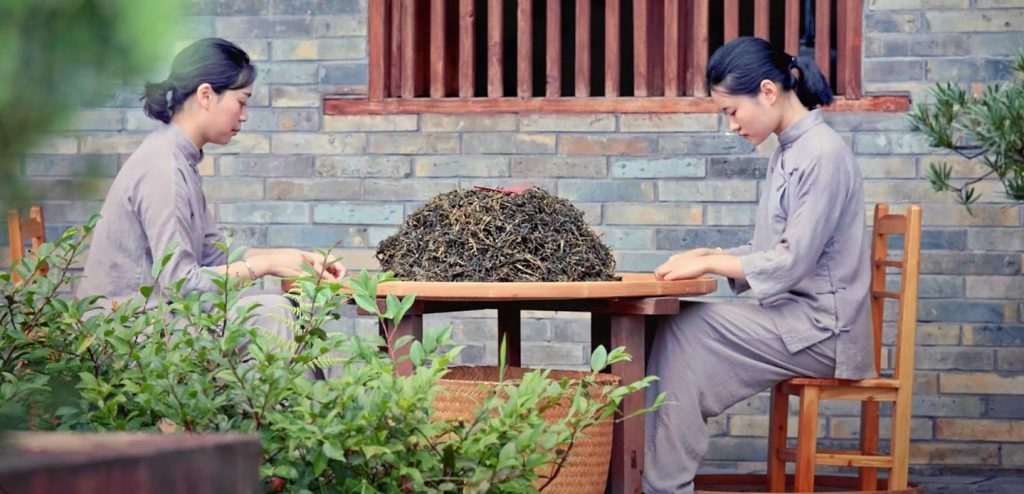 traditional chinese tea making wuyi oolong tea girls picking dry loose tea leaves in courtyard