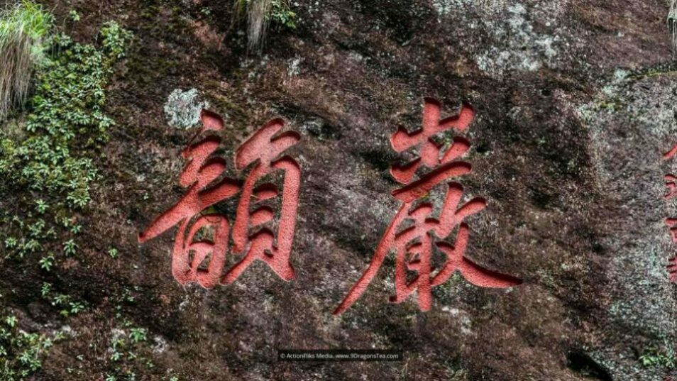 wuyishan landscape rock terroir yen yun close up